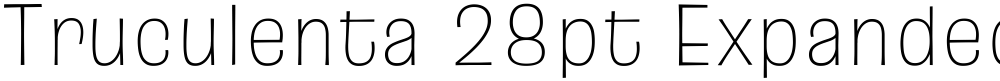Truculenta 28pt Expanded Thin
