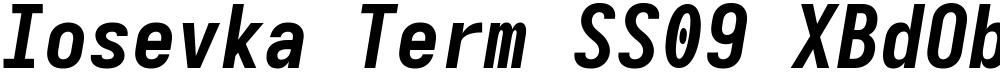 Iosevka Term SS09 XBdObl