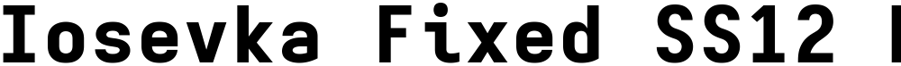 Iosevka Fixed SS12 HvEx