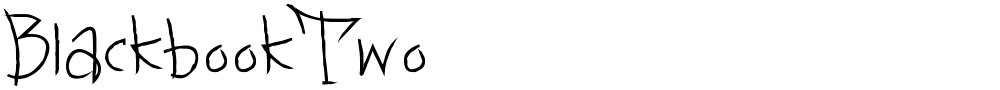 BlackbookTwo