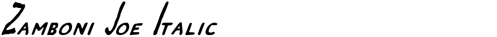 Zamboni Joe Italic
