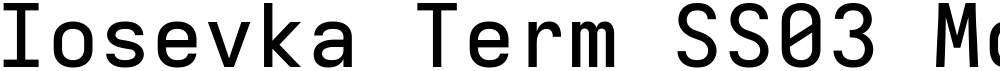 Iosevka Term SS03 MdEx