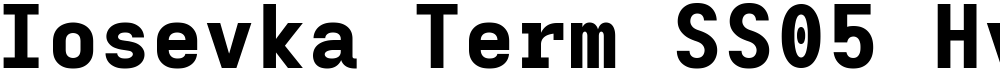 Iosevka Term SS05 HvEx