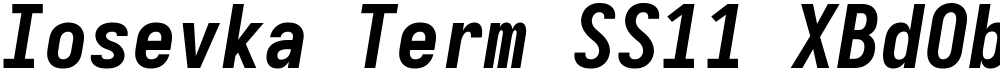 Iosevka Term SS11 XBdObl