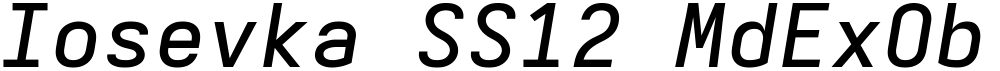 Iosevka SS12 MdExObl
