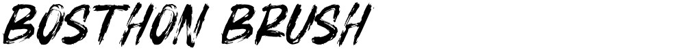 BOSTHON BRUSH
