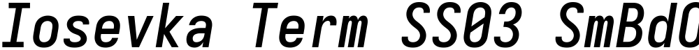 Iosevka Term SS03 SmBdObl