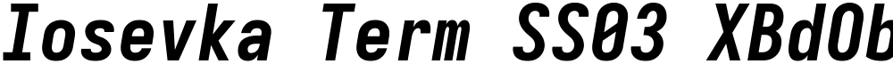 Iosevka Term SS03 XBdObl
