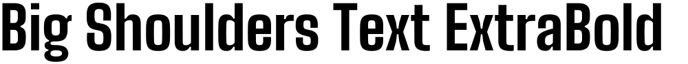 Big Shoulders Text ExtraBold