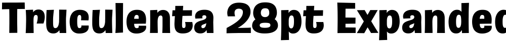 Truculenta 28pt Expanded Black