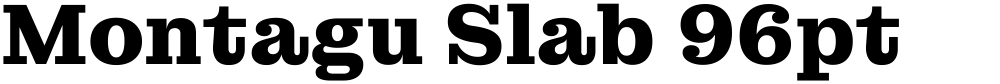 Montagu Slab 96pt