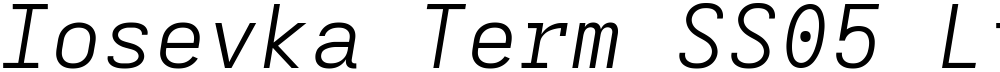 Iosevka Term SS05 LtEx