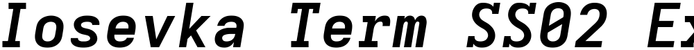 Iosevka Term SS02 ExObl