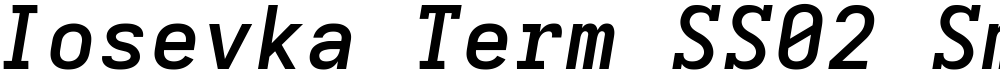 Iosevka Term SS02 SmBdEx