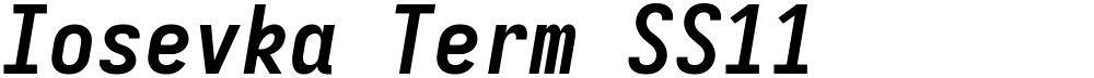Iosevka Term SS11