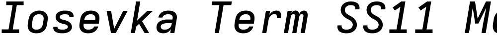Iosevka Term SS11 MdExObl