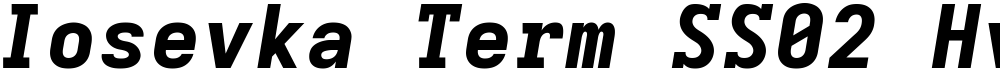 Iosevka Term SS02 HvExObl