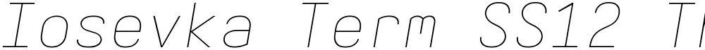 Iosevka Term SS12 ThExObl