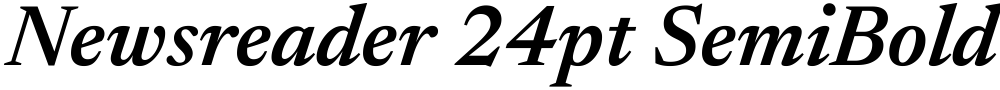 Newsreader 24pt SemiBold