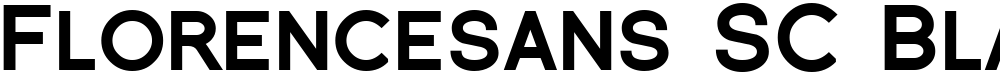Florencesans SC Black