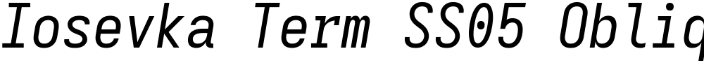 Iosevka Term SS05 Oblique