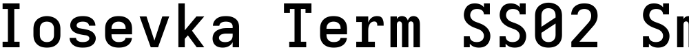 Iosevka Term SS02 SmBdEx