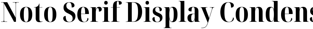 Noto Serif Display Condensed