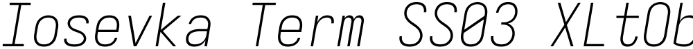 Iosevka Term SS03 XLtObl