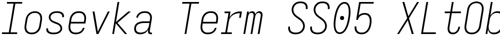 Iosevka Term SS05 XLtObl