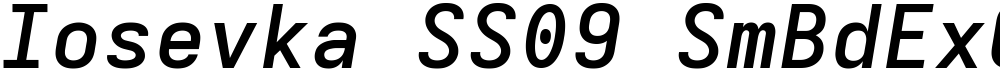 Iosevka SS09 SmBdExObl