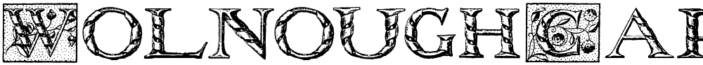 WolnoughCapitals