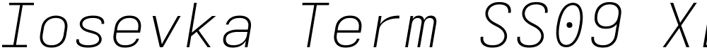 Iosevka Term SS09 XLtExObl