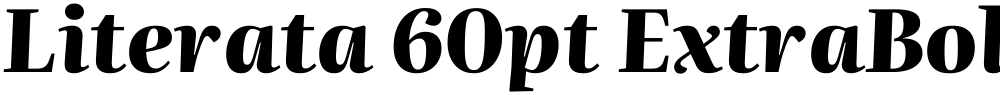 Literata 60pt ExtraBold