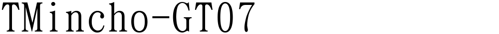 TMincho-GT07