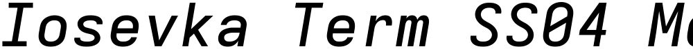Iosevka Term SS04 MdExObl