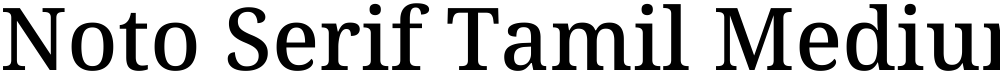 Noto Serif Tamil Medium