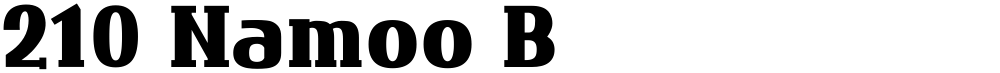 210 Namoo B