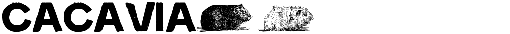 cacavia01