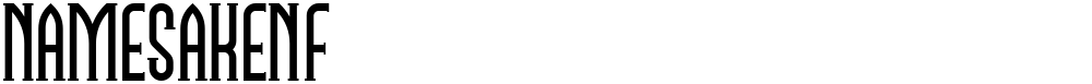 NamesakeNF