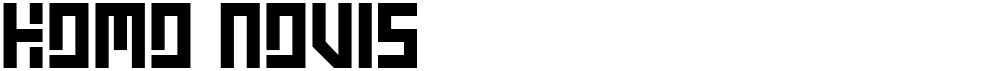Homo Novis