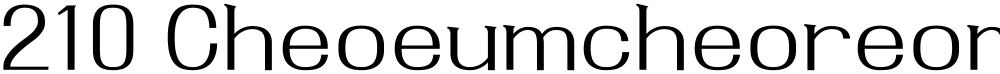 210 Cheoeumcheoreom L