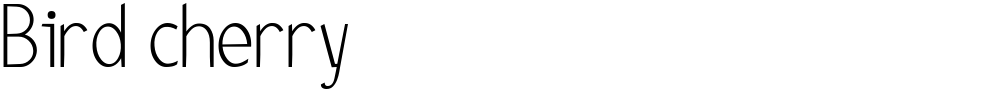 Bird cherry