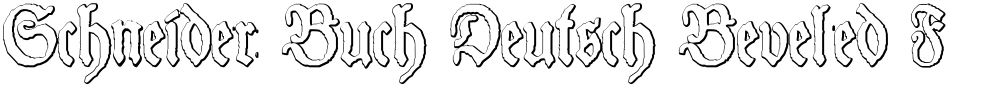 Schneider Buch Deutsch Beveled Free