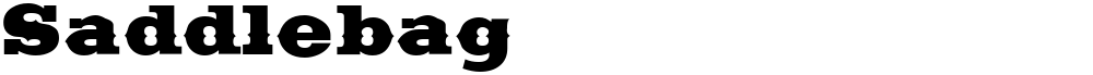 Saddlebag
