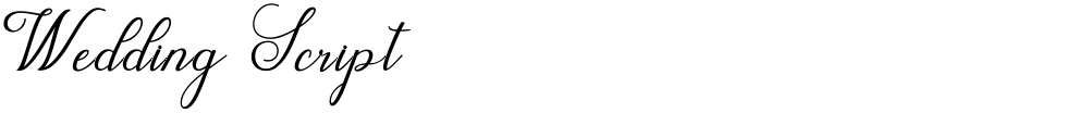 Wedding Script