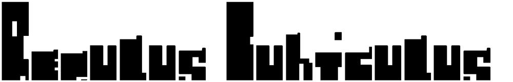 Regulus Cubiculus