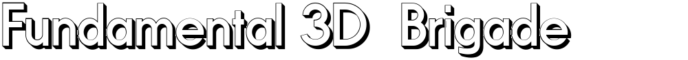 Fundamental 3D  Brigade