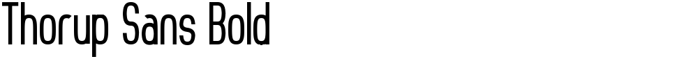 Thorup Sans Bold