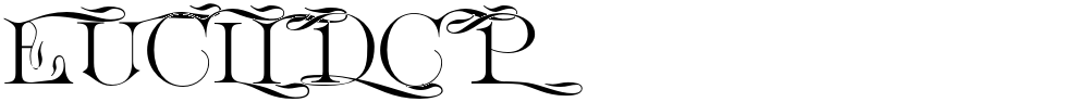 EuclidCP