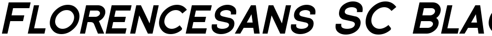 Florencesans SC Black
